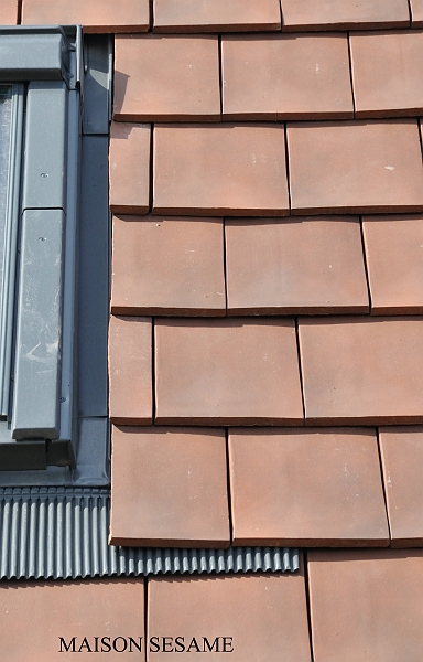DSC_3946 copie.jpg